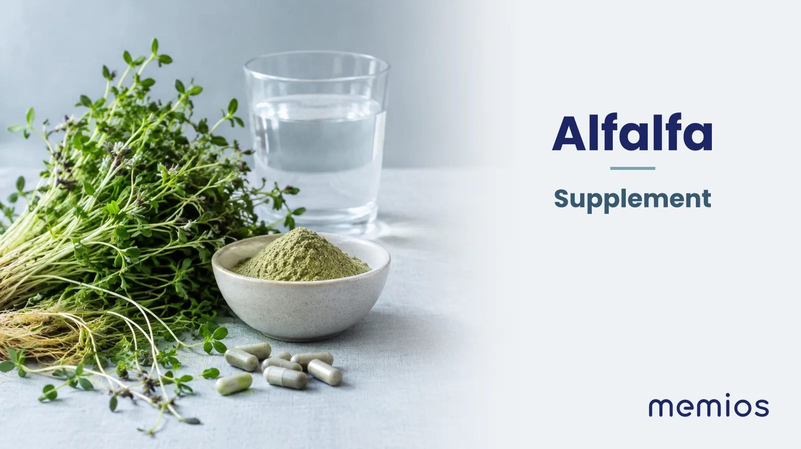 Photograph for Alfalfa: its natural source and a bowl of powder or capsules on pale linen.