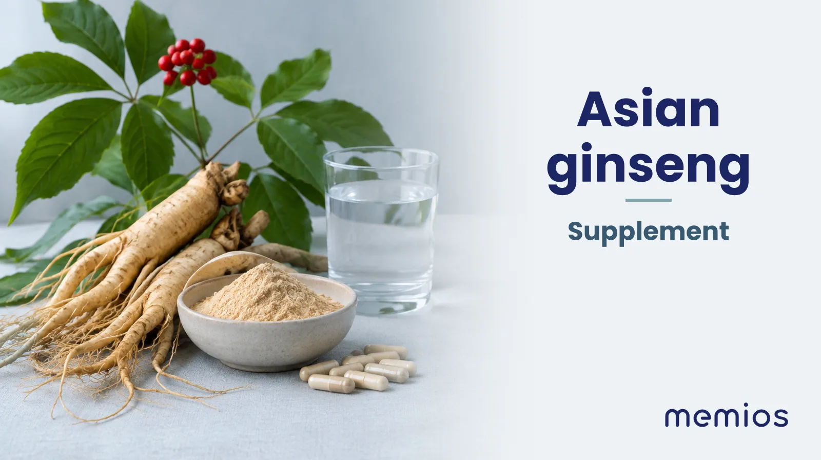 Photograph for Asian ginseng: its natural source and a bowl of powder or capsules on pale linen.