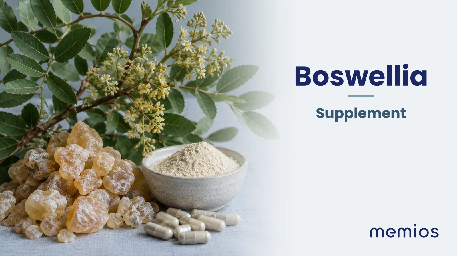Photograph for Boswellia: its natural source and a bowl of powder or capsules on pale linen.