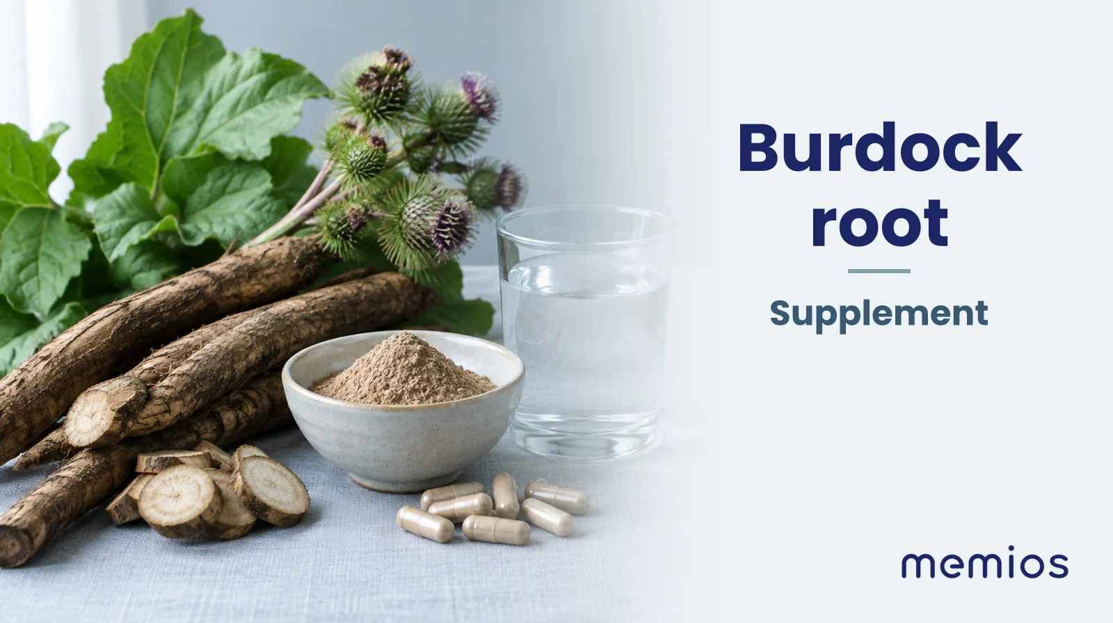 Photograph for Burdock root: its natural source and a bowl of powder or capsules on pale linen.