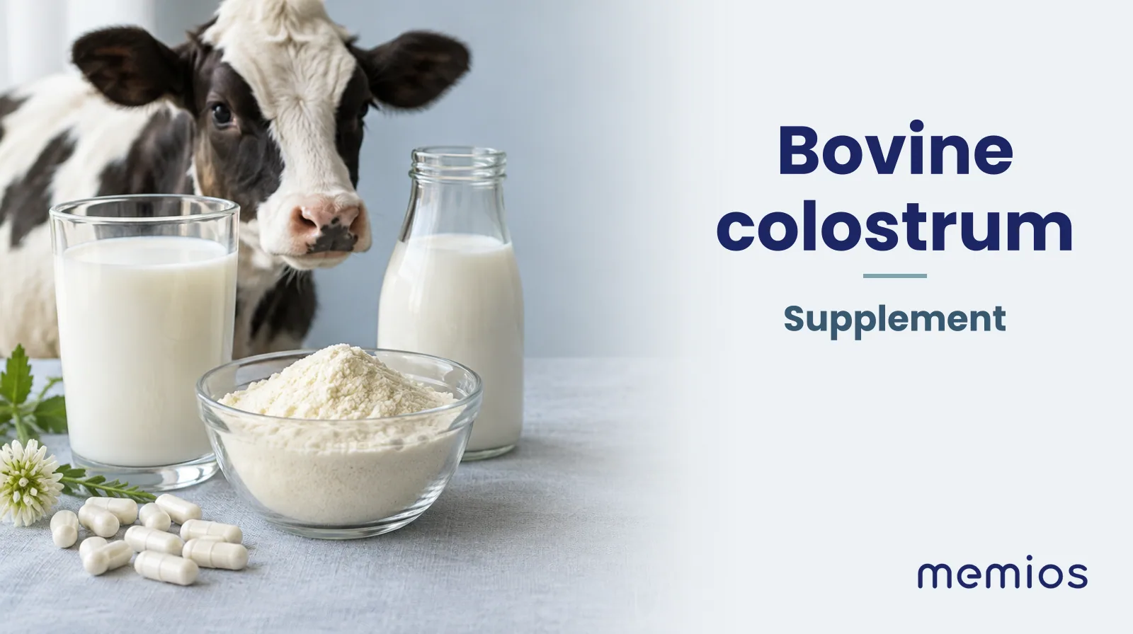 Photograph for Bovine colostrum: its natural source and a bowl of powder or capsules on pale linen.