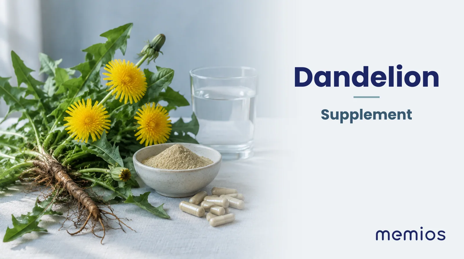 Photograph for Dandelion: its natural source and a bowl of powder or capsules on pale linen.