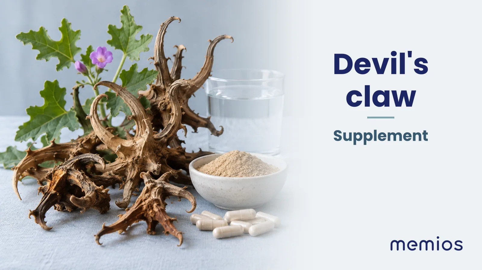 Photograph for Devil's claw: its natural source and a bowl of powder or capsules on pale linen.