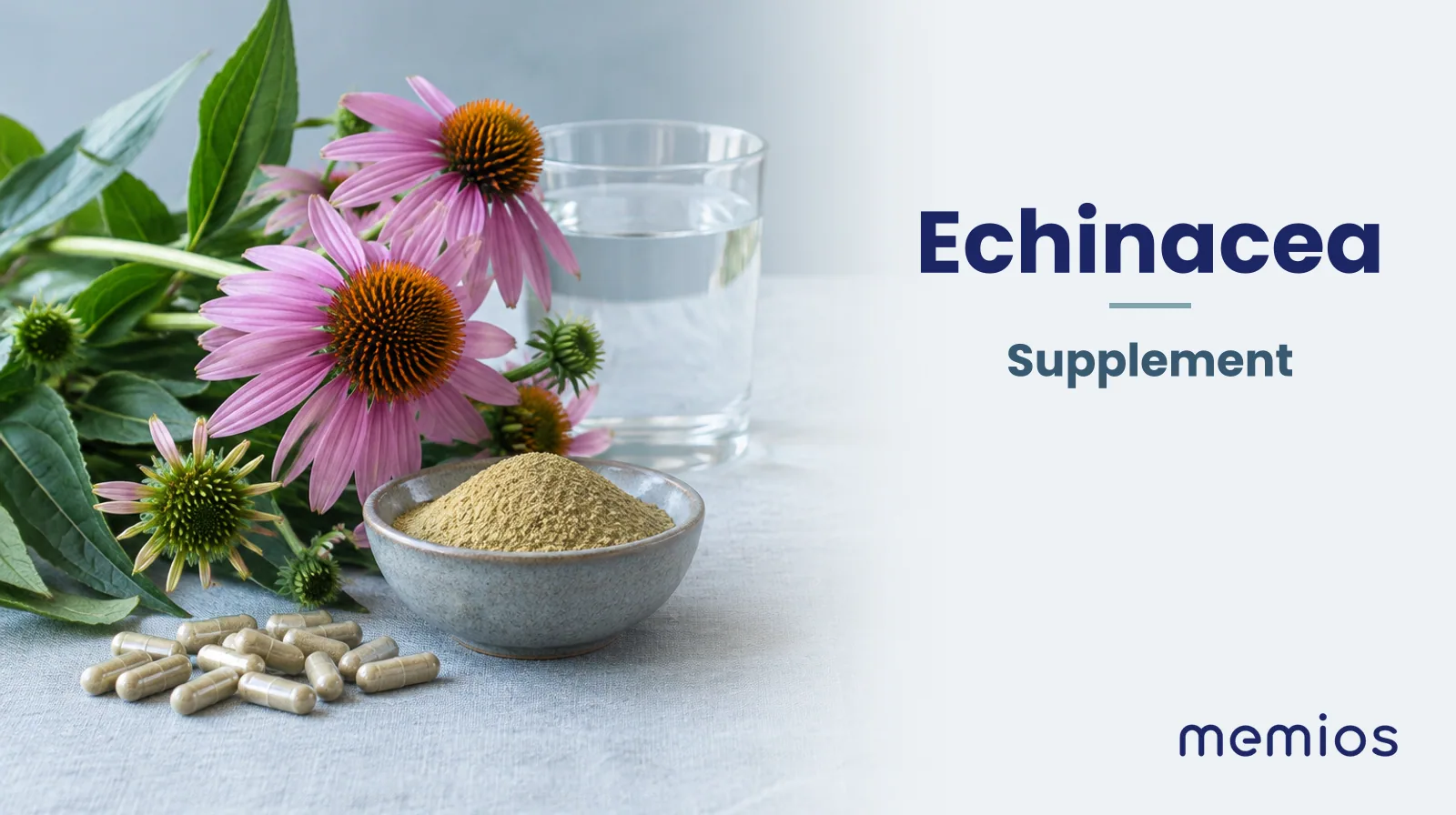 Photograph for Echinacea: its natural source and a bowl of powder or capsules on pale linen.