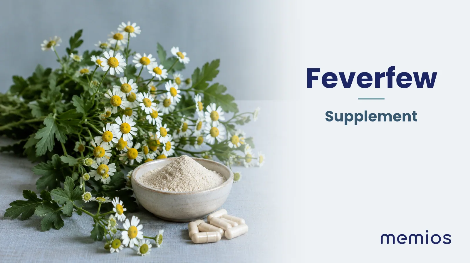 Photograph for Feverfew: its natural source and a bowl of powder or capsules on pale linen.