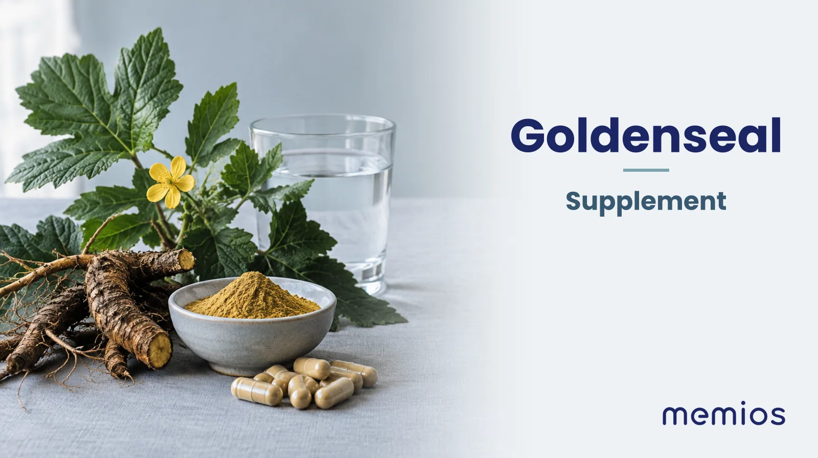 Photograph for Goldenseal: its natural source and a bowl of powder or capsules on pale linen.
