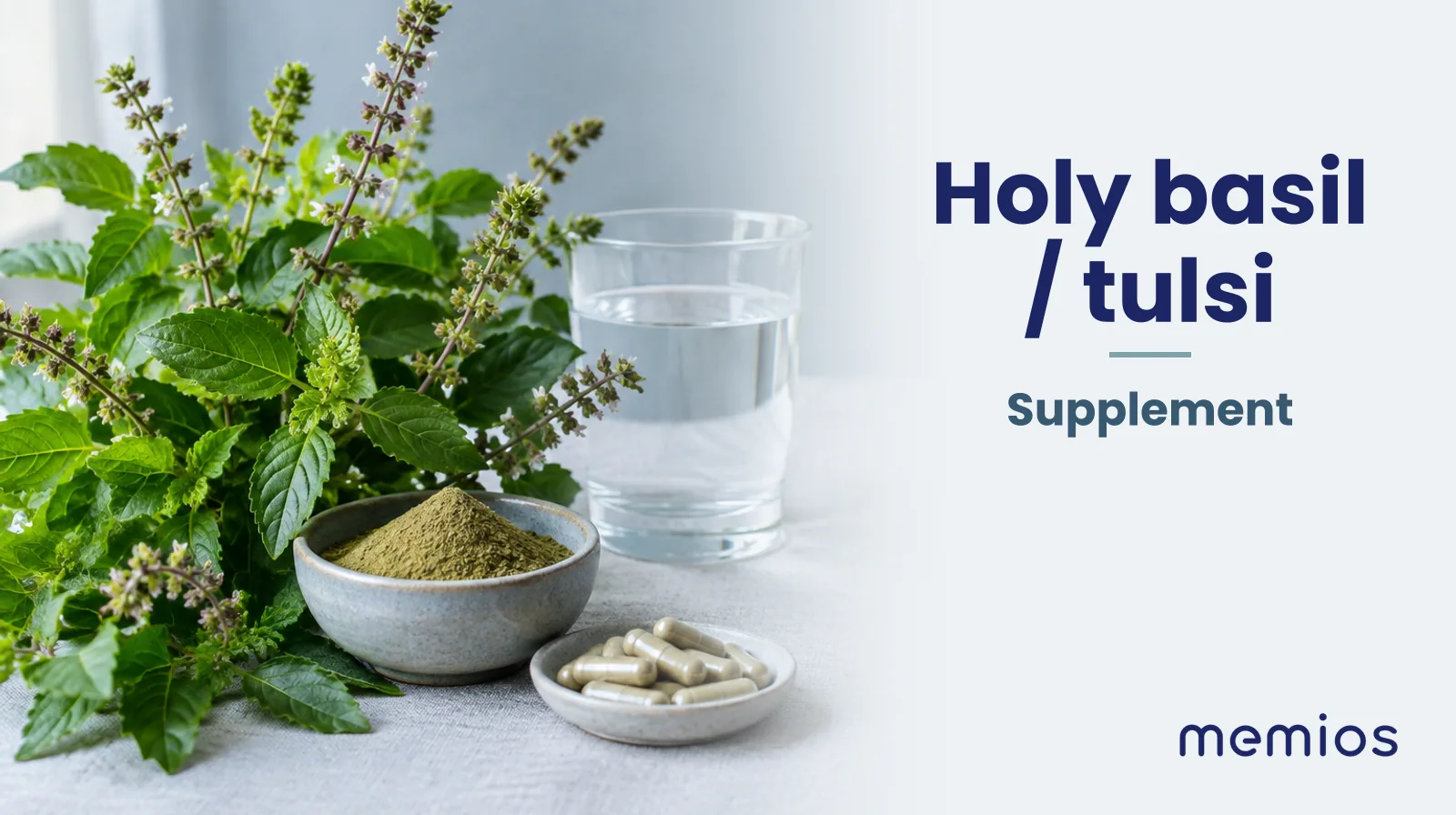 Photograph for Holy basil / tulsi: its natural source and a bowl of powder or capsules on pale linen.