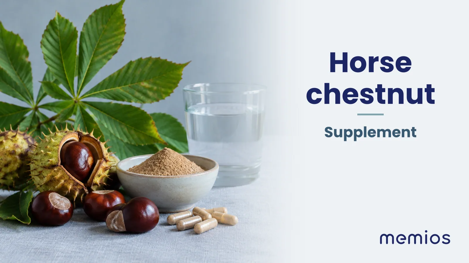 Photograph for Horse chestnut: its natural source and a bowl of powder or capsules on pale linen.