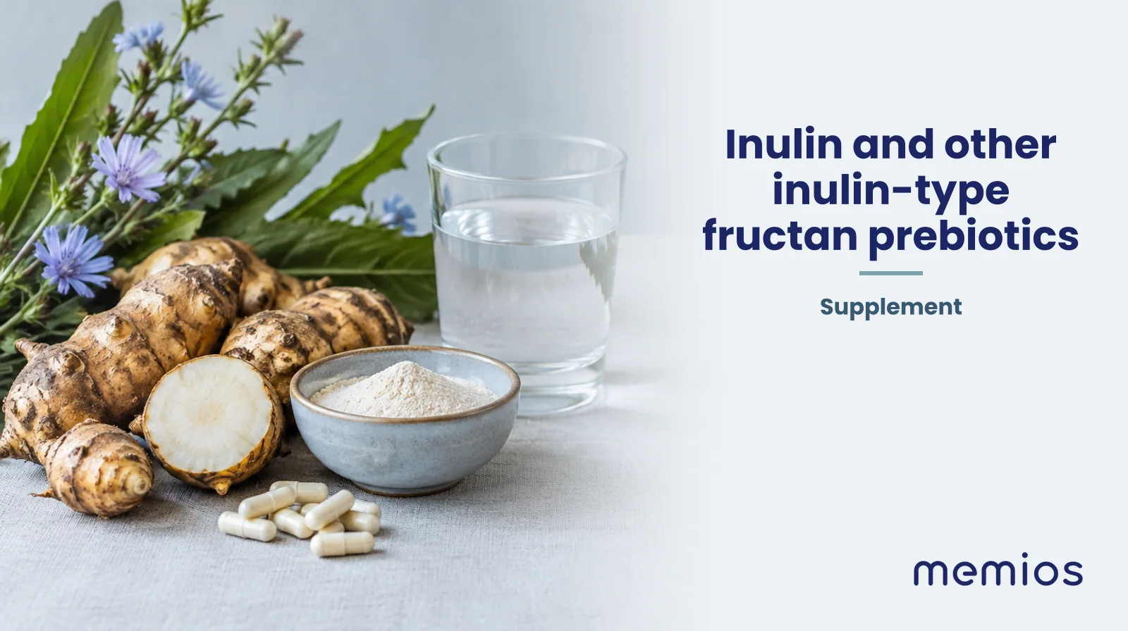 Photograph for Inulin and other inulin-type fructan prebiotics: its natural source and a bowl of powder or capsules on pale linen.