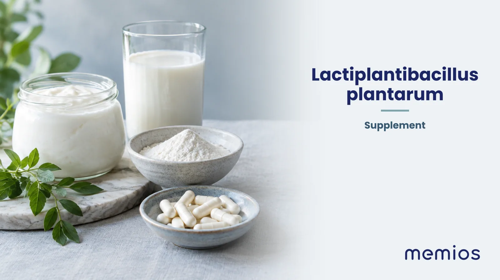 Photograph for Lactiplantibacillus plantarum: its natural source and a bowl of powder or capsules on pale linen.
