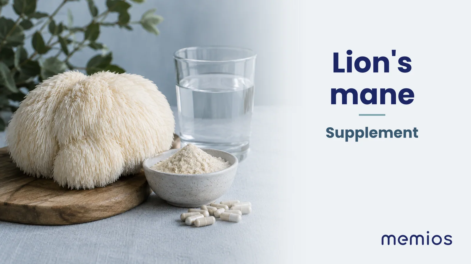 Photograph for Lion's mane: its natural source and a bowl of powder or capsules on pale linen.