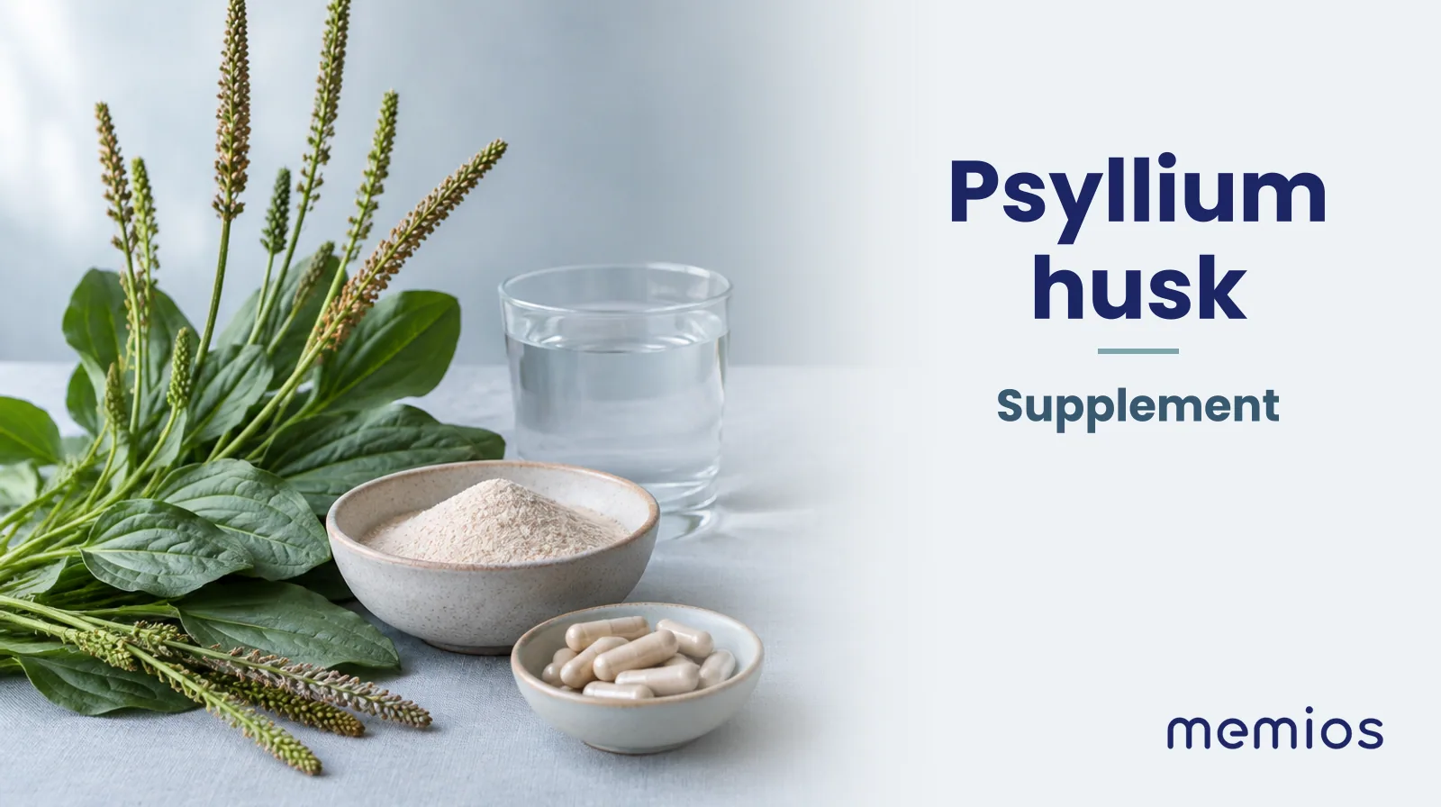 Photograph for Psyllium husk: its natural source and a bowl of powder or capsules on pale linen.