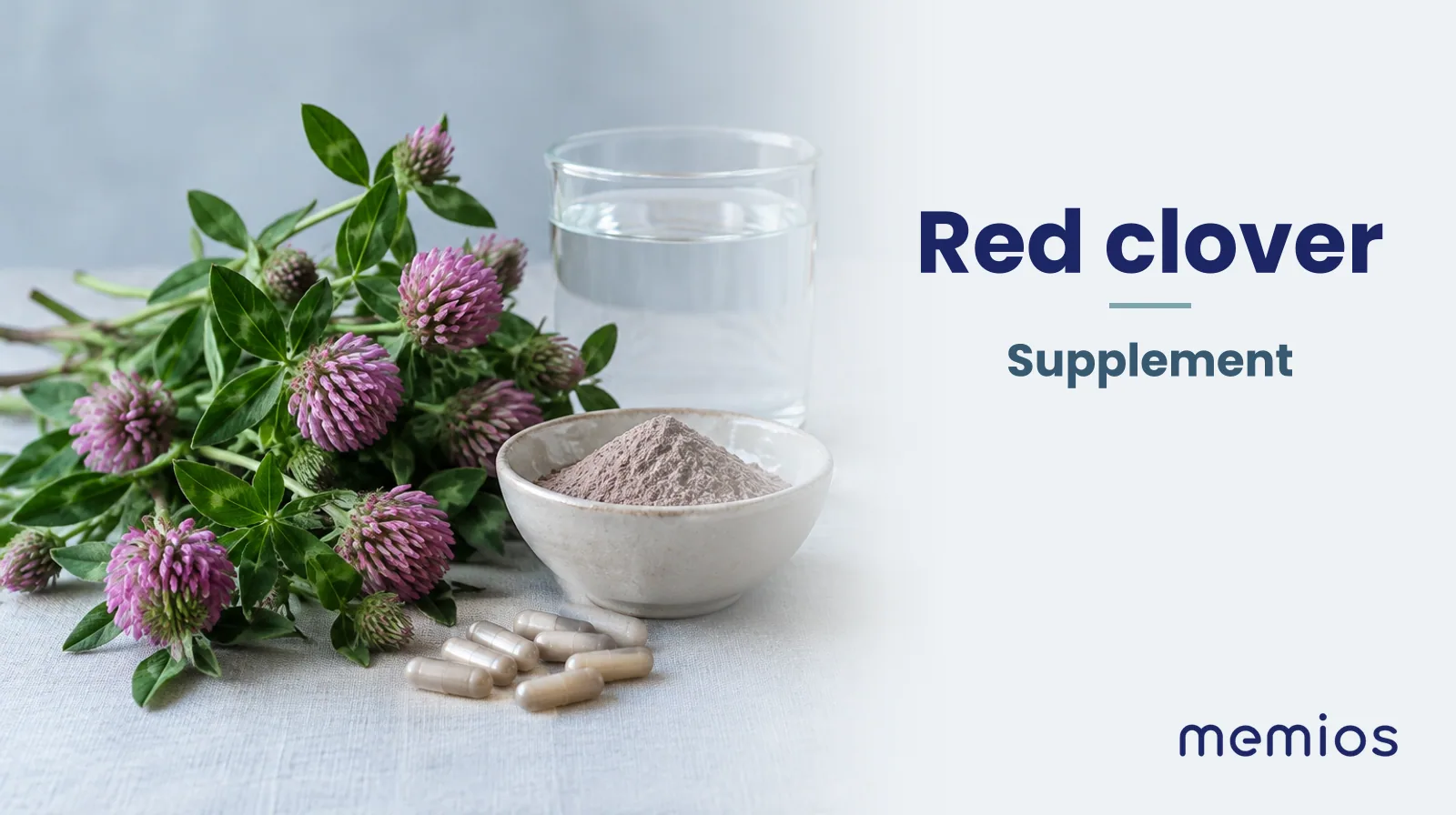 Photograph for Red clover: its natural source and a bowl of powder or capsules on pale linen.