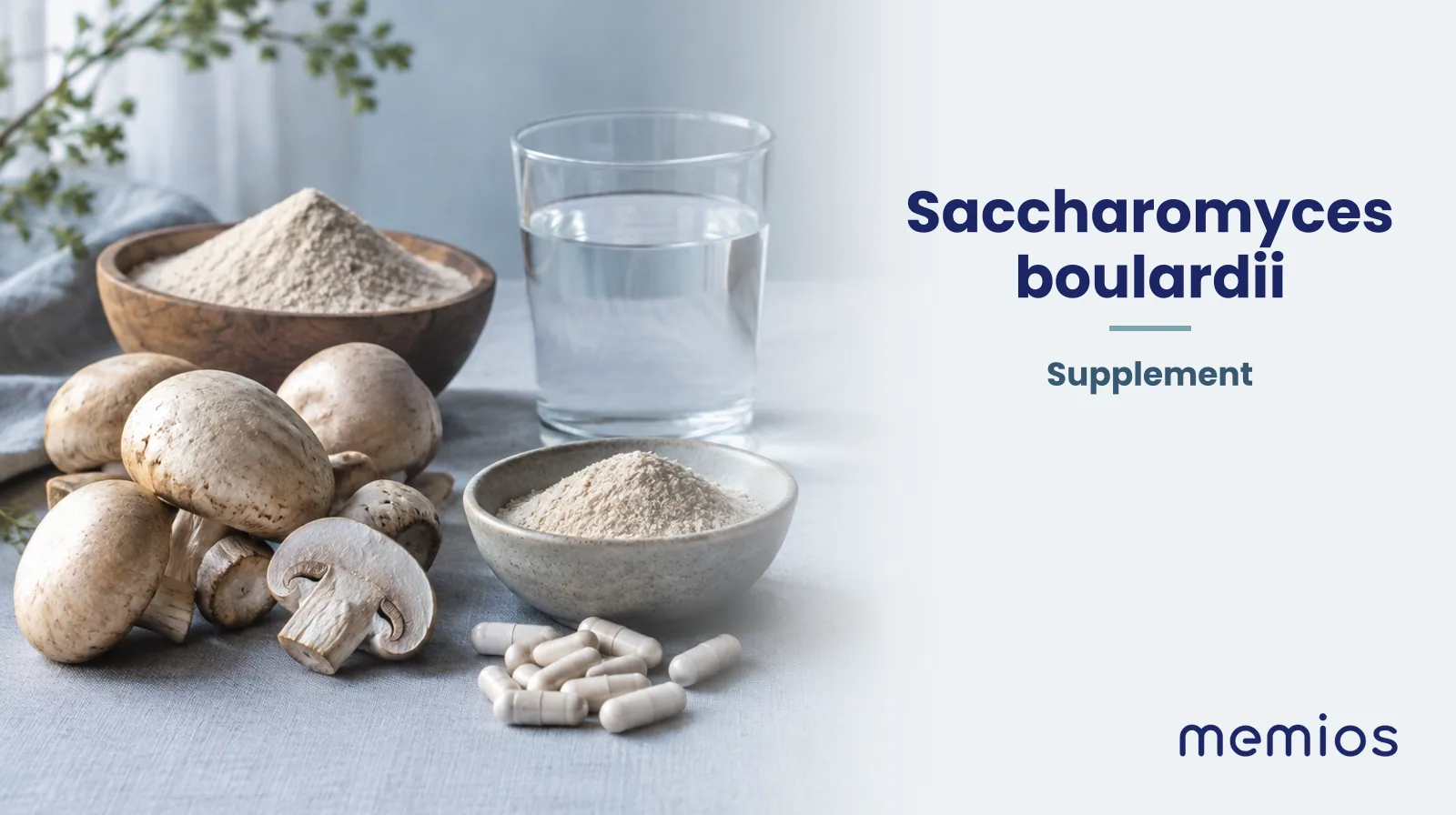 Photograph for Saccharomyces boulardii: its natural source and a bowl of powder or capsules on pale linen.