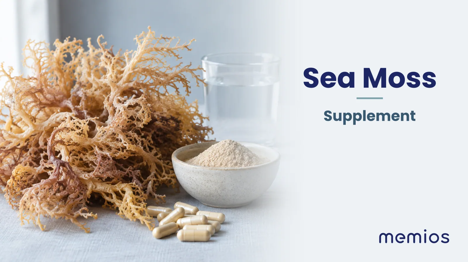 Photograph for Sea Moss: its natural source and a bowl of powder or capsules on pale linen.