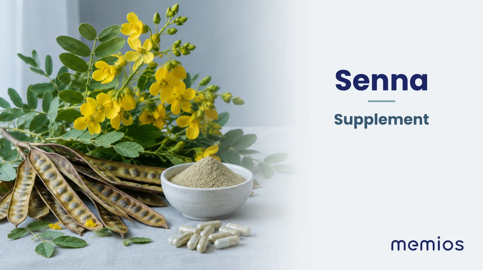 Photograph for Senna: its natural source and a bowl of powder or capsules on pale linen.