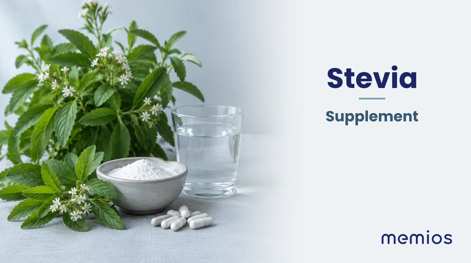 Photograph for Stevia: its natural source and a bowl of powder or capsules on pale linen.