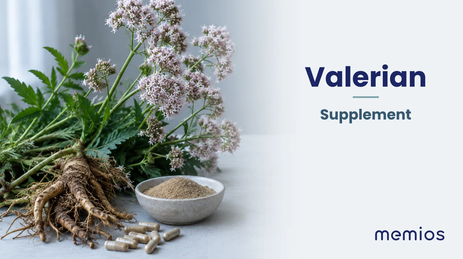 Photograph for Valerian: its natural source and a bowl of powder or capsules on pale linen.