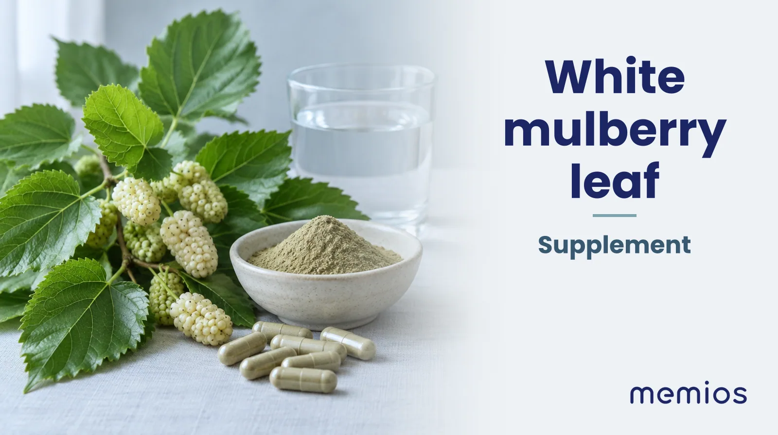 Photograph for White mulberry leaf: its natural source and a bowl of powder or capsules on pale linen.